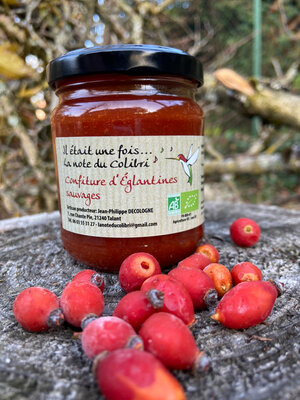Confiture d'églantines sauvages