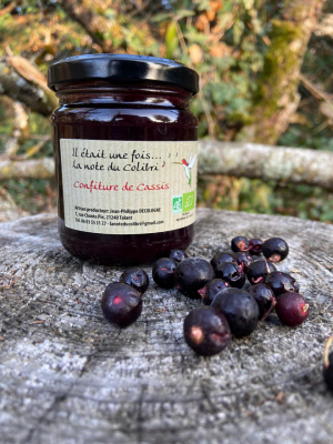 Confiture de cassis