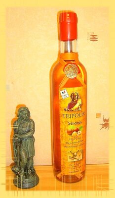 Sénones
