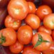 -- frais : soupe tomates 1l, octeville - image 3