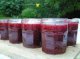 Confiture framboises, Octeville - image 4