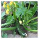 -- frais : soupe courgettes 0.5 l, octeville - image 2