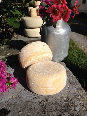 Moyenne Tomme entière au lait de vaches Brune