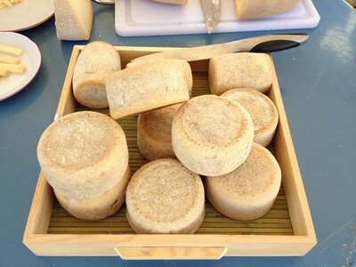 Mini tomme entière au lait de vache bio