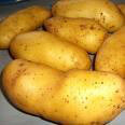 Pommes de terre nouvelle charlotte