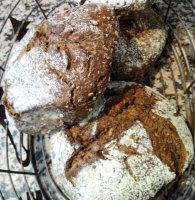 Tourte seigle noir, recette allemande