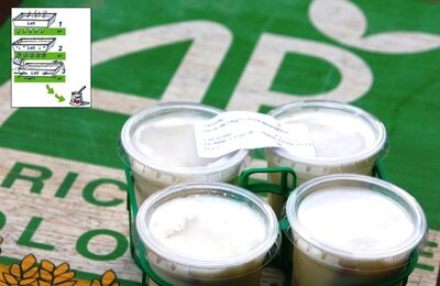 - 4 x yaourts natures bio fermiers  au lait entier