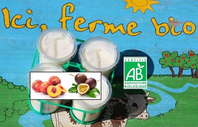 . 4 x yaourts bio pêche au lait ent