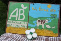 * 4 x yaourts bio aux poires et au lait entier