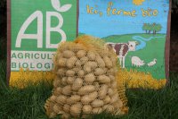 Ditta pommes de terre bio chair ferme