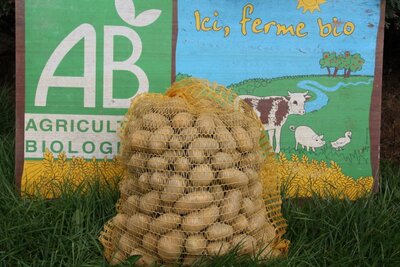 Ditta pommes de terre bio chair ferme