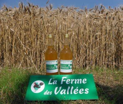 Jus de pomme