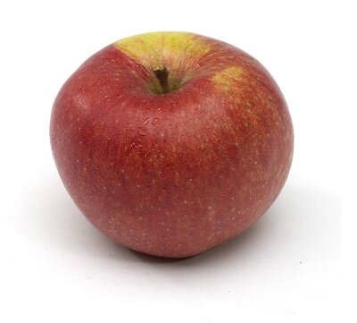Pomme jonagored de jumièges, 3kg