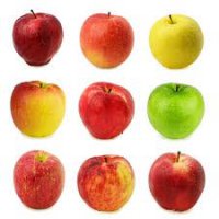 'panier' panaché de 3 kg de pommes, jumièges