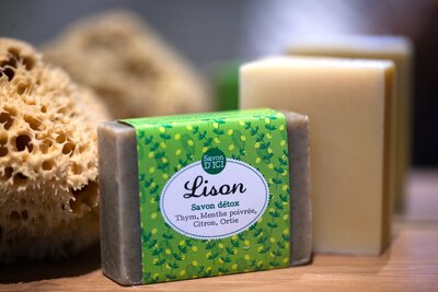 Lison