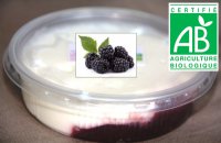 Fromage blanc bio lissé sur lit de mures