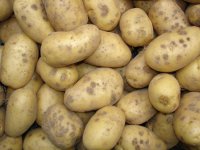 pomme de terre 'Melody'