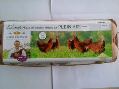 12 oeufs frais plein air