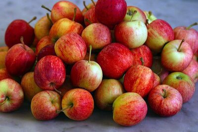 Pomme à croquer 1kg