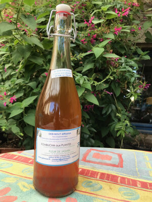 Kombucha aux plantes