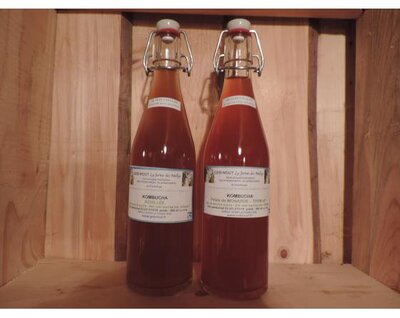Kombucha sauge sclarée