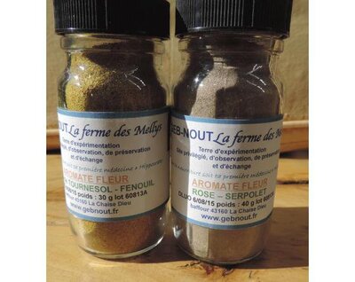 Aromate fleur - Tournesol/Carotte