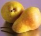 Sorbet poire 1 litre