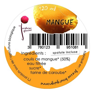 Sorbet mangue lot de 2 pots 120ml