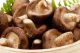 Shiitake ou pied de lentin, 1kg - image 2