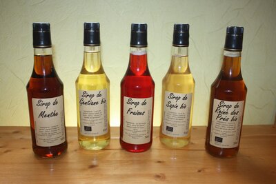 Sirop de sapin bio