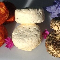Crottin de vache nature bio