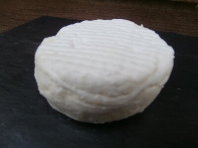 Crottin de chèvre frais