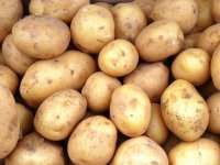 Pommes de terre nouvelles 1kg amandi