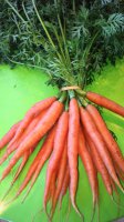 2 x botte carottes nouvelles
