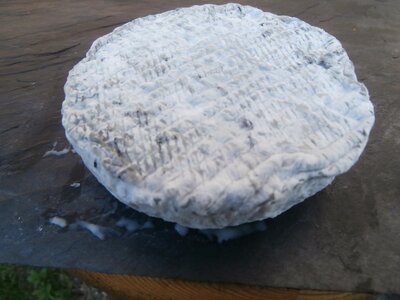 Crottin cendré de chèvre