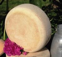 Tomme au lait de vaches brune - par tomme entière de +/-4 kg