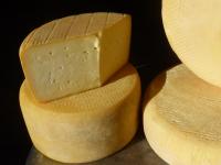 Tomme au lait de vaches brune bio