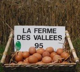 Oeufs