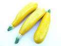 Courgettes jaunes