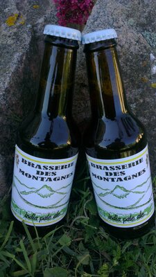 Bière india pale ale 6° - 2 x 25cl