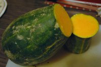 Courge longue de nice