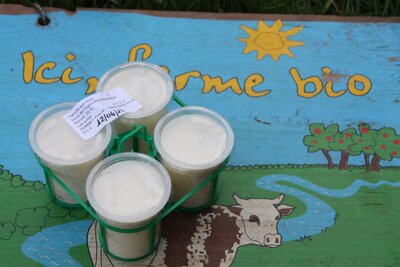 . 4 x yaourts bio aux ananas et au lait entier