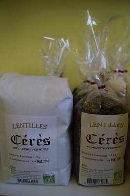Lentilles vertes 0.5kg