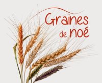 Farine de blé t65 1 kg  variétés anciennes