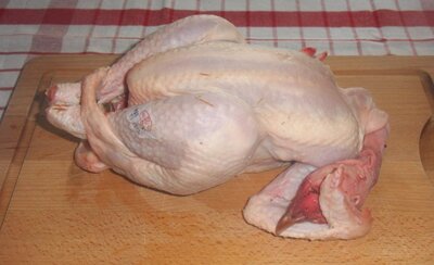 Poulet petit 1,2 à 1,7 kg
