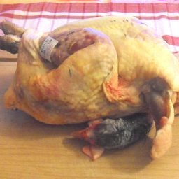Pintade fermière prête à cuire 1,4 à 1,7 kg