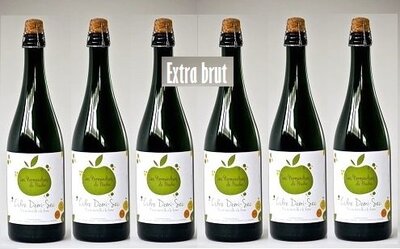 Cidre extra brut x  6