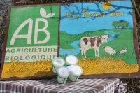 . 4 x yaourts bio aux poires-bananes et au lait entier