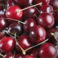 Cerises bigarreau d'edelfingen, jumièges