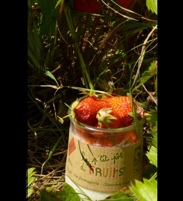 le petit pot de fruits Fraise Rhubarbe